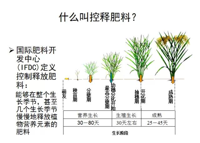 小猪视频官网APP缓控释肥高科技