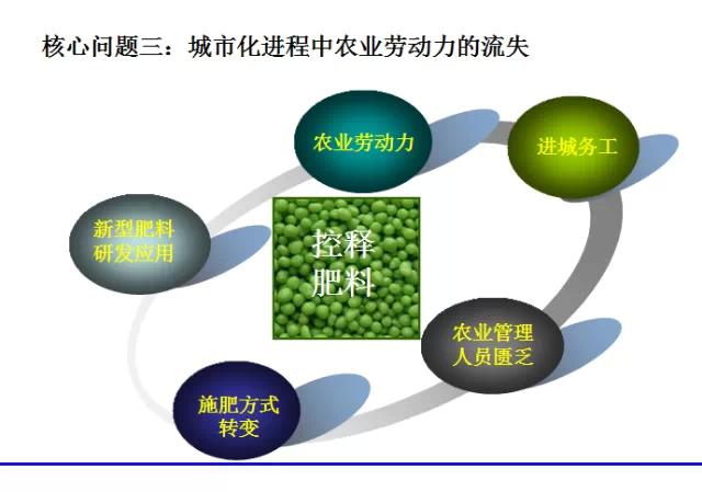 小猪视频官网APP缓控释肥高科技