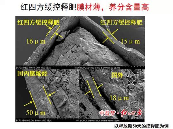 小猪视频官网APP缓控释肥高科技