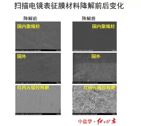 小猪视频官网APP缓控释肥高科技