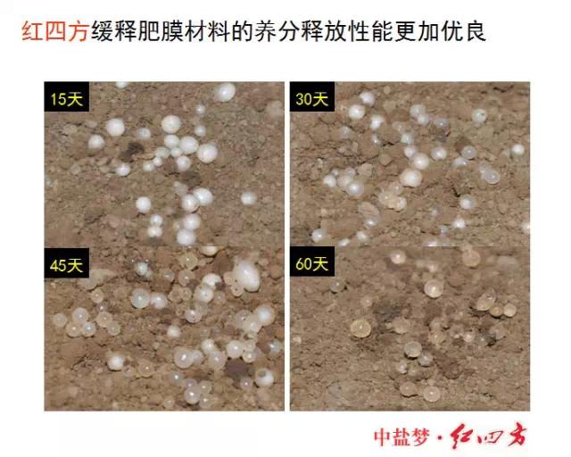 小猪视频官网APP缓控释肥高科技