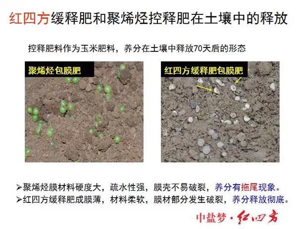 小猪视频官网APP缓控释肥高科技