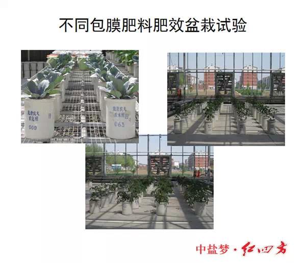 小猪视频官网APP缓控释肥高科技