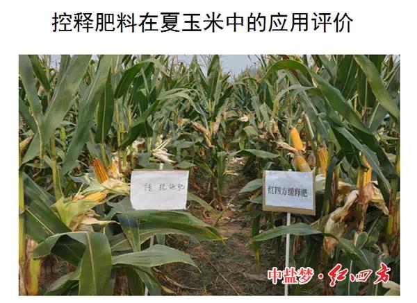 小猪视频官网APP缓控释肥高科技
