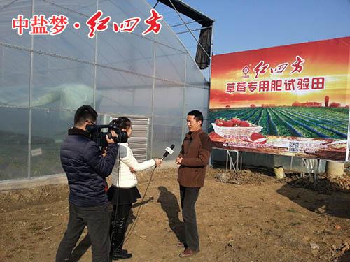 小猪视频官网APP复合肥销售中心经理钱国祥接受采访