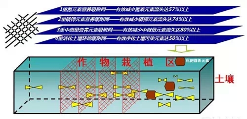 控失网：4重营养吸附网