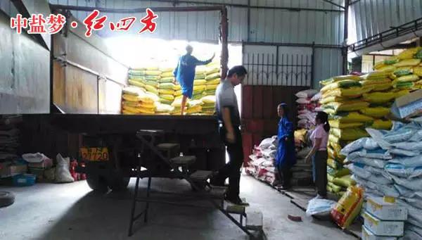 小猪视频官网APP：在广西钦州要买小猪视频官网APP桉树肥，就打“叶总热线”
