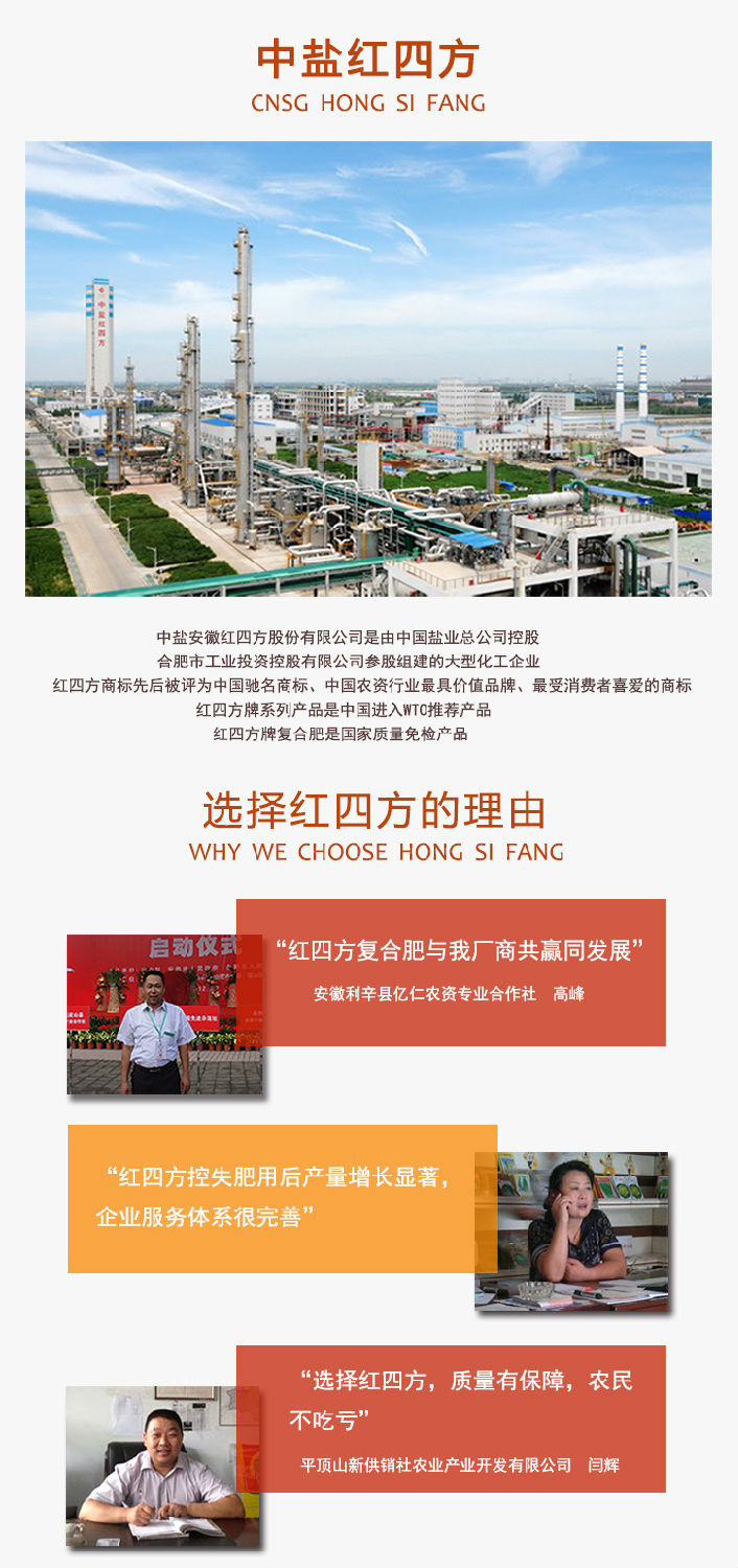 选择小猪视频官网APP的理由