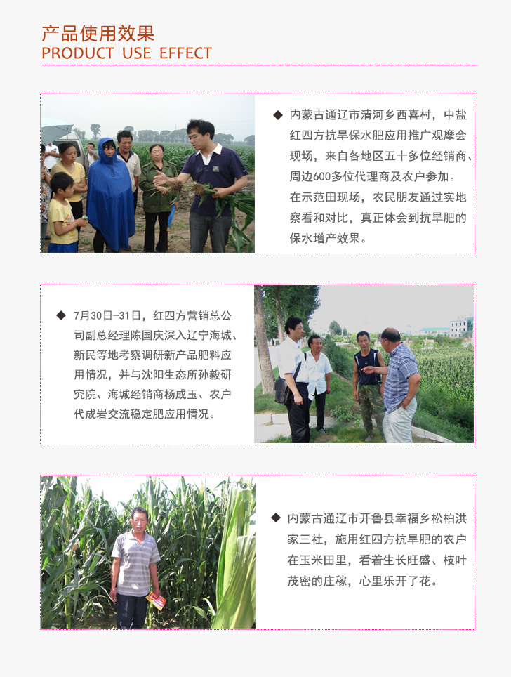 小猪视频官网APP抗旱型复合肥40%(15-20-5)产品使用效果图1