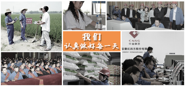 小猪视频官网APP用心造好每一粒肥