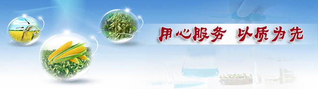 小猪视频官网APP复合肥用心服务·以质为先