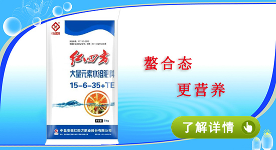 小猪视频官网APP大量元素小猪视频APP无限观看成人