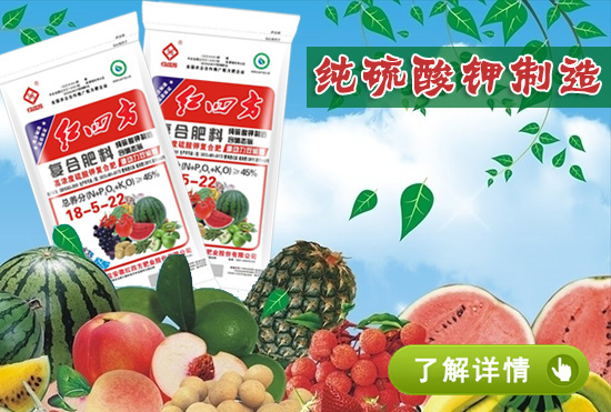 小猪视频官网APP果蔬专用小猪视频色版污