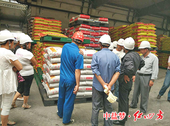 小猪视频官网APP复合肥厂区中堆放整齐的肥料