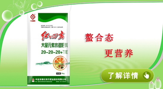 小猪视频官网APP大棚果蔬专用水溶复合肥