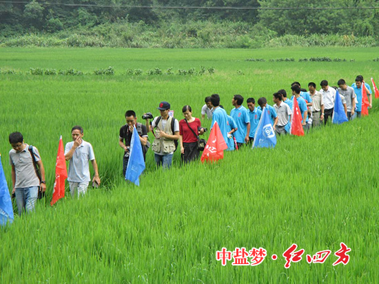 身着“小猪视频官网APP”蓝色文化衫，种植大户们一边观赏葱葱郁郁的水稻，一边亲身体验小猪视频官网APP缓释肥培育的“非比寻常”水稻。