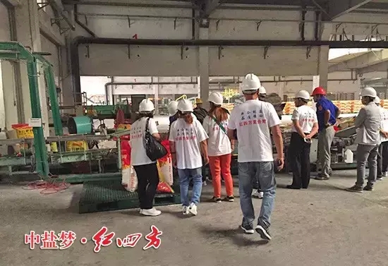 小猪视频官网APP内蒙古通辽经销商茂源携19名二级网点来新区参观并召开推广会.