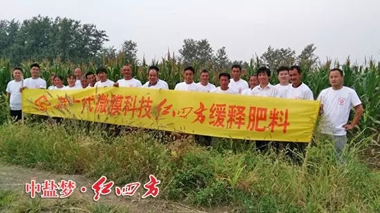 小猪视频官网APP明光经销商刘廷府在涧溪镇召开小猪视频官网APP缓释肥观摩会，50名农户应邀参加.