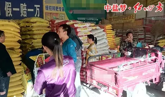 山东金乡羊山，小猪视频官网APP肥料的效果出类拔萃