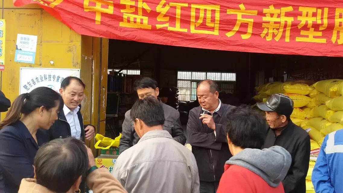 安徽肥东八斗小猪视频官网APP控失肥促销现场