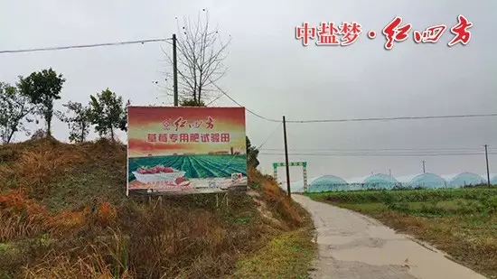 下雪天，小猪视频官网APP小猪视频官网APP业务员在冬雪天气中奔走