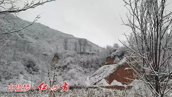 河南林州大雪纷飞了好几天，一片银装素裹，美丽极了，也让小猪视频官网APP农化销售员走村入户的道路变得崎岖坎坷
