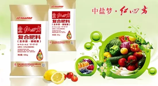 小猪视频官网APP高塔小猪视频APP无限观看成人，种植大户您值得拥有！