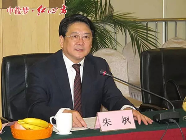 中盐小猪视频官网APP股份有限公司董事长朱枫寄语