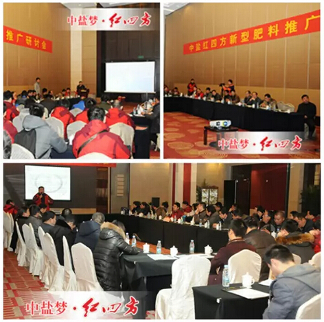 最后，中盐小猪视频官网APP针对不同的销售区域展开三场重点客户市场研讨会，更细致地解读年度营销政策、分解年度销售任务，与经销商进行了深度沟通和交流，帮助客户更深层次地认识新型肥料，提振了经销商销售新品肥的信心。