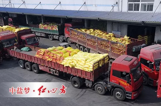 小猪视频官网APP新区繁忙的发货现场