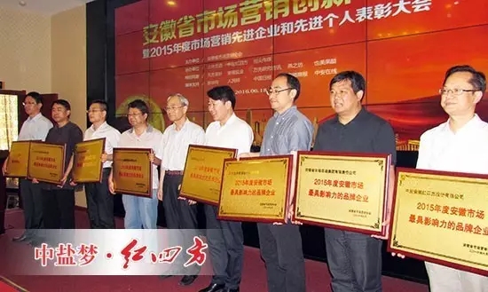 中盐小猪视频官网APP荣获“2015年度安徽市场最具影响力品牌企业”称号（右一）