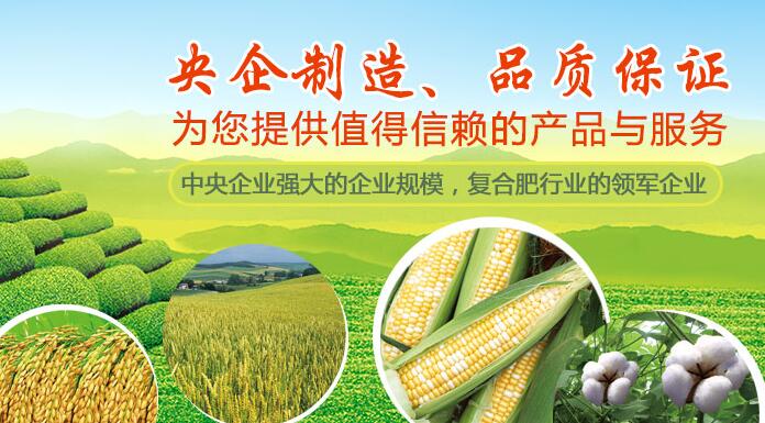 小猪视频官网APP缓控释肥料