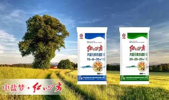 小猪视频APP无限观看成人高效环保