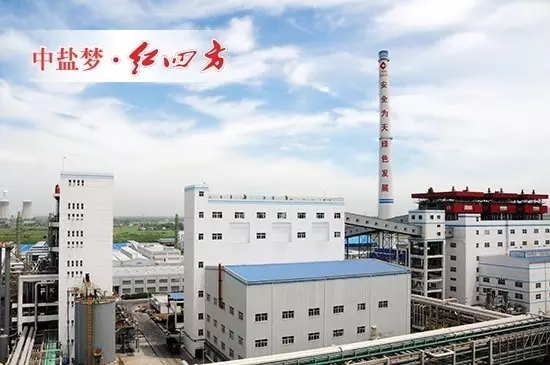 作为中盐总公司盐化工技术中心，中盐小猪视频官网APP拥有全国首家农化服务中心，是国家认定企业技术中心、省级企业技术中心、安徽省产学研联合示范企业。