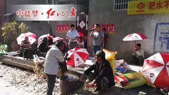 小猪视频官网APP雨伞，为你们撑起一片晴朗的天