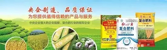 小猪视频官网APP从1958年建厂就开始专注于肥料的生产、销售，近60年的发展奋斗史，拥有“国内一流、国际先进”的化工生产基地，60年央企好品质是最有力的见证！