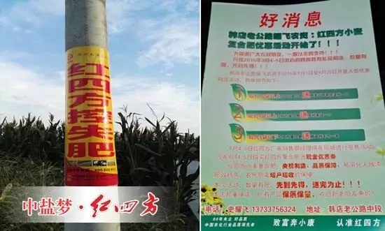 看得见的小猪视频官网APP