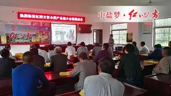 江苏淮安金北镇小猪视频官网APP新品推介会上