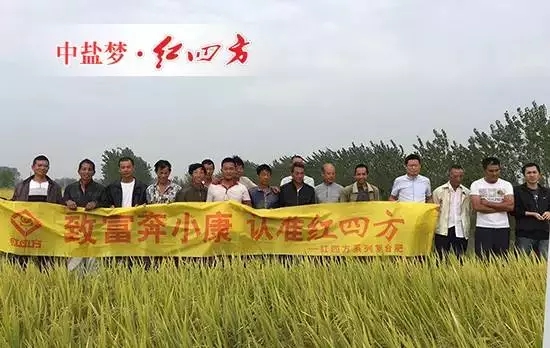 从监利赶往潜江横堤村