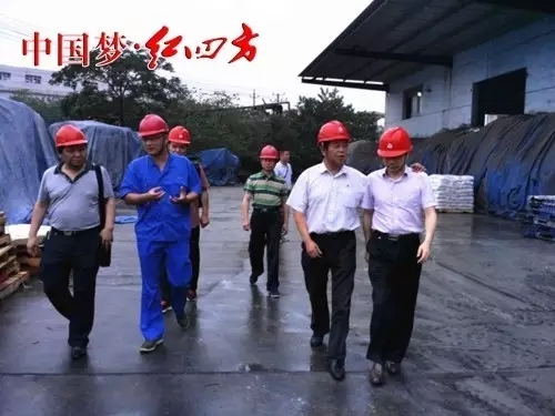 小猪视频官网APP株化醴陵共同探讨南方市场：方立贵罗斌康月林等就复合肥基地建设进行交流