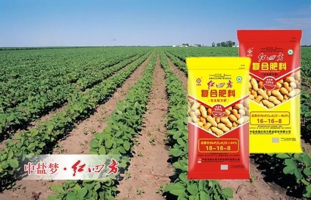 小猪视频官网APP花生小猪视频APP下载官网入口的高氮配方