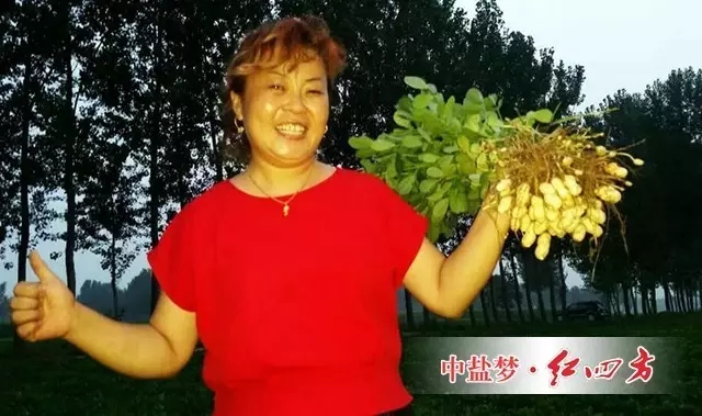延津花生籽粒饱满