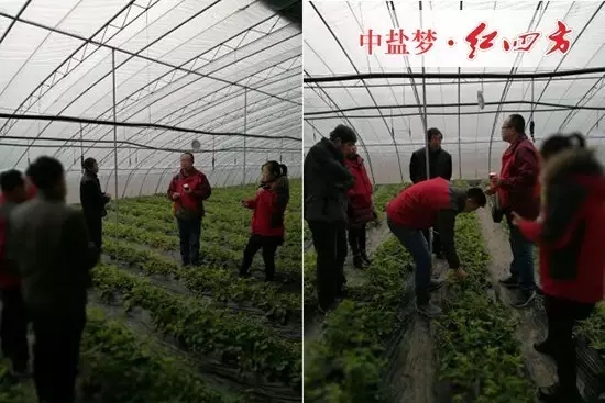 1月14日，小猪视频官网APP与小猪视频官网APP德州市区域业务经理程林一道回访了使用小猪视频官网APP悬浮剂小猪视频APP无限观看成人的农户。