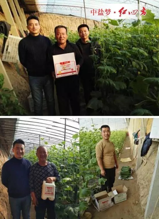 大伙儿反映，用小猪视频官网APP悬浮剂小猪视频APP无限观看成人，黄瓜长势旺，瓜条直、颜色绿、口感好，产量比同时期没有用的都有不同程度增加，今年又是一个丰收年，今年又是一个大卖年！