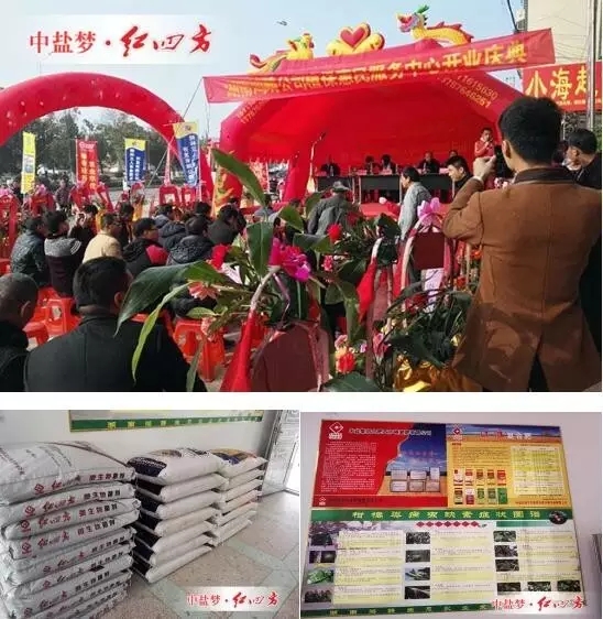 在湖南道县江淮客户——永州道县鸿畴农业发展有限公司开业庆典上，道县副县长到场祝贺，小猪视频官网APP生物菌剂、稳定性肥等新型肥料大受农民用户欢迎。