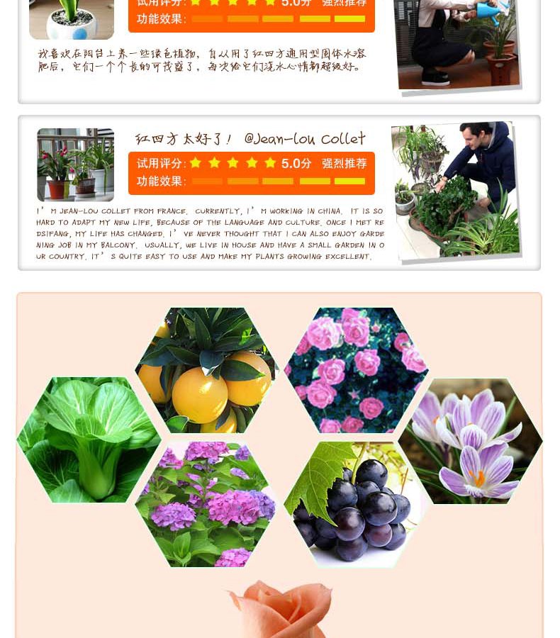 通用型固体小猪视频APP无限观看成人详情页4