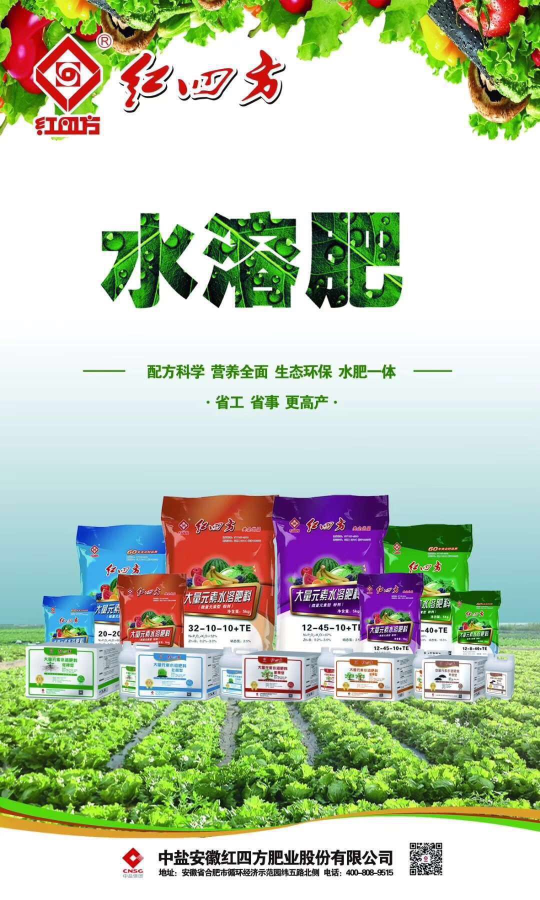 小猪视频官网APP小猪视频APP无限观看成人