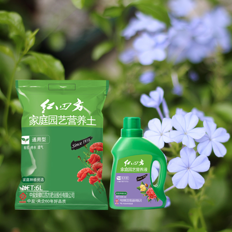 小猪视频官网APP营养土